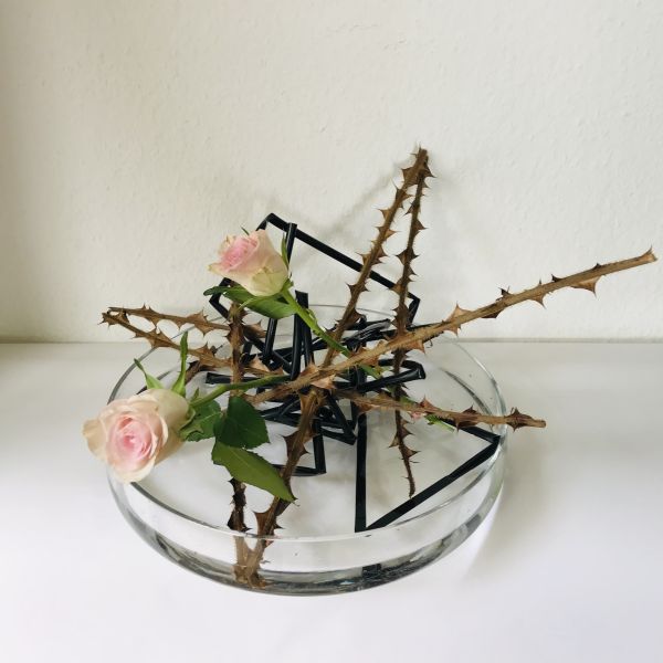 Arbeitsabend „Schwerpunkt Rosen“
